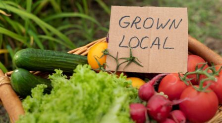 Fruit Safety Regulations in the Transatlantic Region: How are Africa’s exports faring with the regulations?